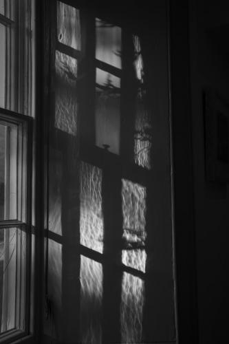 Lucy Saggers - Kitchen window